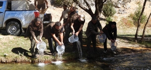 Kahramanmaraş'ta 5 bin kırmızı benekli alabalık yavrusu Terbüzek Çayı'na bı...
