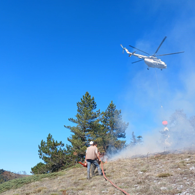 Kütahya'da orman yangını; 1 hektar alan zarar gördü