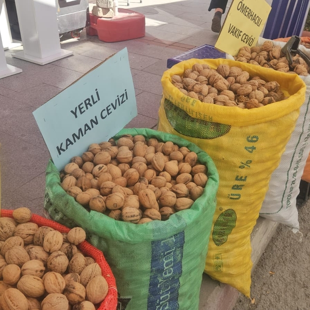 Kaman Ceviz Kültür ve Sanat Festivali başlıyor