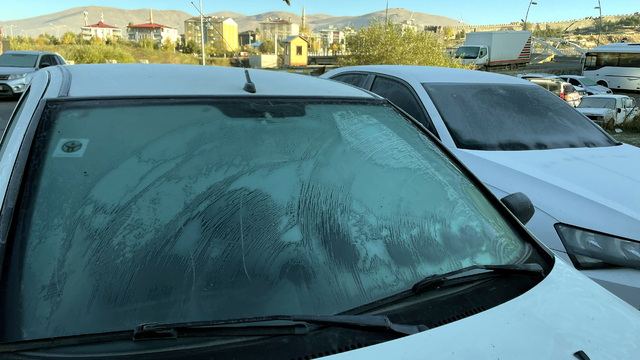 Ardahan'da soğuk hava nedeniyle kırağı ve buzlanma oluştu