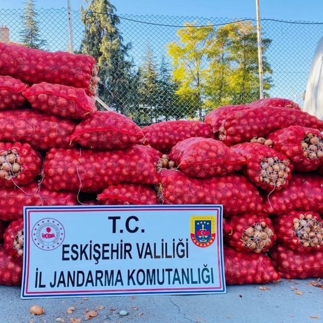 Eskişehir'de tarladan soğan hırsızlığının 3 şüphelisi yakalandı