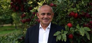 Kayseri'de 36 bin nüfuslu ilçeden 18 ülkeye elma ihracatı