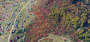 Trabzon-Giresun sınırındaki 2 bin 182 rakımlı Sis Dağı'nda güz zamanı