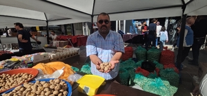 Kaman Ceviz Festivali başladı