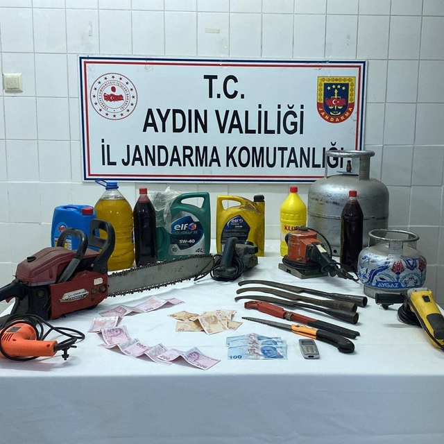 Aydın'da yayla evinden hırsızlık şüphelisi tutuklandı