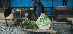 Ordu'da 1600 rakımda yetişen dürme pancarı yöre halkına gelir sağlıyor