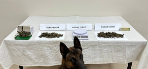 Trabzon'daki uyuşturucu operasyonunda bir kişi yakalandı