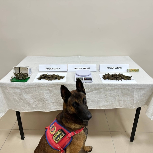 Trabzon'daki uyuşturucu operasyonunda bir kişi yakalandı