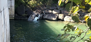 Rize'de dereye düşen otomobildeki 2 kişi yaralandı