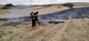 Edirne'den kısa kısa