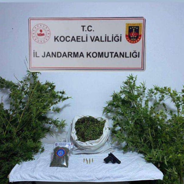 Kocaeli'de 4 kilo 88 gram skunk ele geçirildi