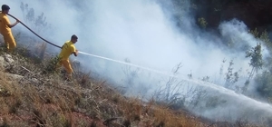 Osmaniye'de otluk alanda çıkan yangın söndürüldü 
