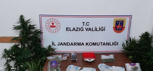 Elazığ'da uyuşturucu operasyonunda 4 şüpheli yakalandı