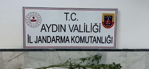 Aydın'daki uyuşturucu operasyonunda 2 kişi gözaltına alındı