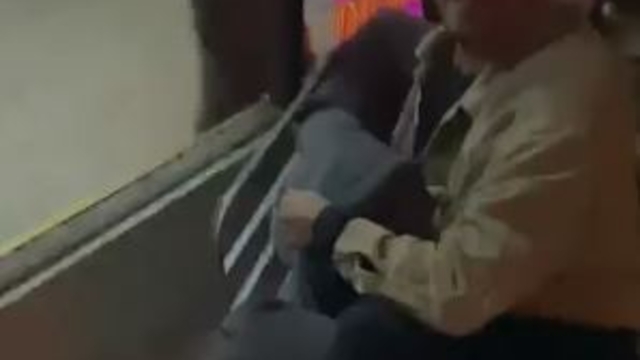 Karabük'te yavru ayı iş merkezine girip, sokaklarda koştu; görenler kaçtı