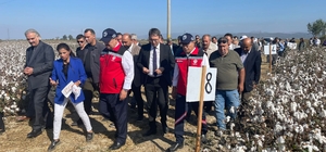 Söke'de tarla günü etkinliği düzenlendi