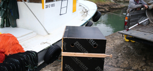 Giresun'da denizdeki ayı yavrusu balıkçılar tarafından kurtarıldı