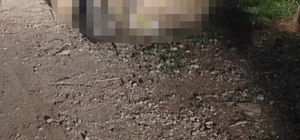 Hatay'da kayıp olarak aranan kadının öldürüldüğü belirlendi