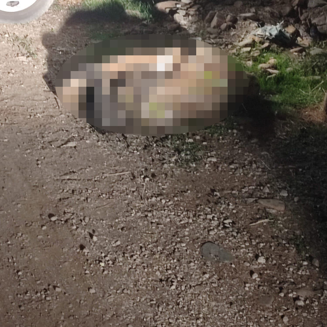 Hatay'da kayıp olarak aranan kadının öldürüldüğü belirlendi