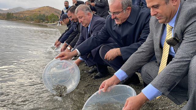 Hazar Gölü'ne 200 bin siraz balığı yavrusu bırakıldı