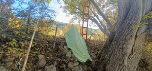 Ceviz ağacından düştü, vücuduna demir saplanıp öldü