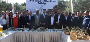 Hatay'da "7. Altınözü Zeytin, Zeytinyağı ve Gastronomi Festivali" düzenlend...
