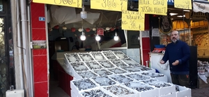 Rize'de hamsi fiyatı 30 liraya düştü