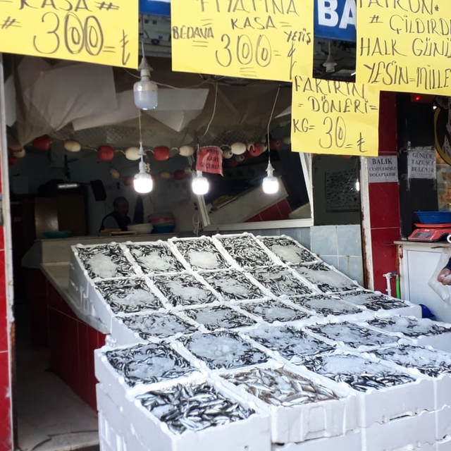 Rize'de hamsi fiyatı 30 liraya düştü
