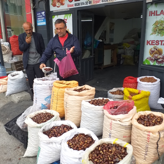 Zonguldak'ta kestane pazara indi