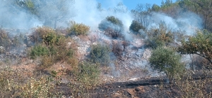 Muğla'da tarım alanında çıkan yangına müdahale ediliyor