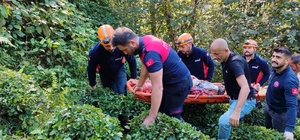 Rize'de teleferikten düşen kişi yaralandı