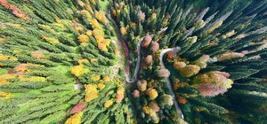 Gümüşhane'de doğaseverler Cumhuriyetin 100. yılı için yürüdü