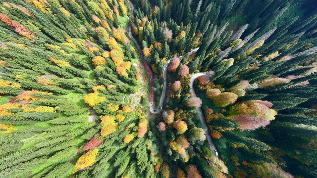 Gümüşhane'de doğaseverler Cumhuriyetin 100. yılı için yürüdü