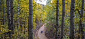 Tunceli'nin ormanlarında sonbahar renkleri hakim oldu
