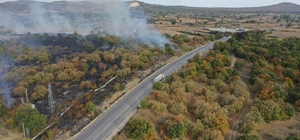 Edirne'de sınır kapısı yolu kenarında başlayıp ağaçlık alana sıçrayan yangı...