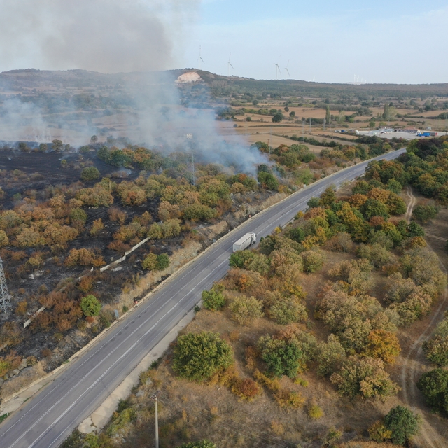 Edirne'de sınır kapısı yolu kenarında başlayıp ağaçlık alana sıçrayan yangı...