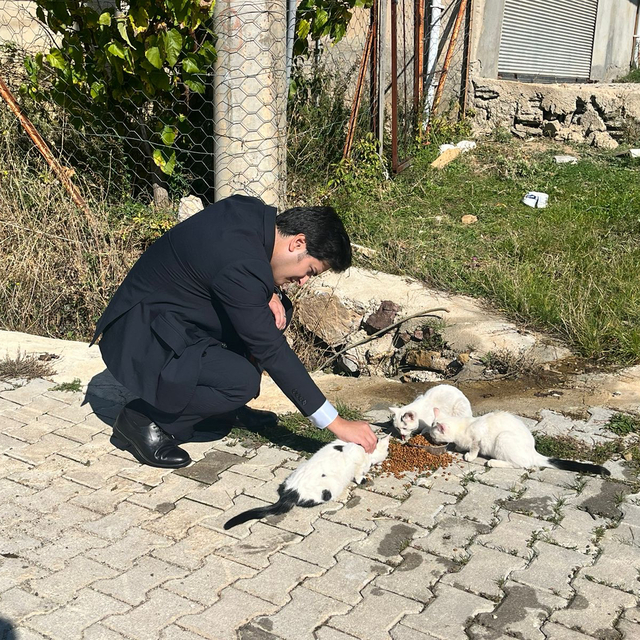 Aksu'da "Sokak Hayvanlarına Duyarlılık Projesi"