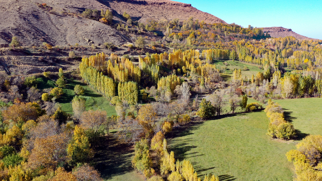 Iğdır'daki Üçkaya Vadisi'nde sonbahar renkleri hakim oldu