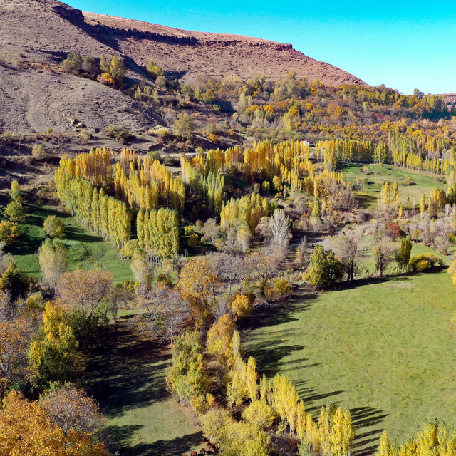 Iğdır'daki Üçkaya Vadisi'nde sonbahar renkleri hakim oldu