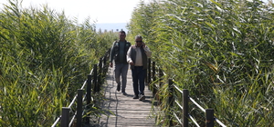 Tünelle tersine akıtılan su, allı turnalara hayat veriyor