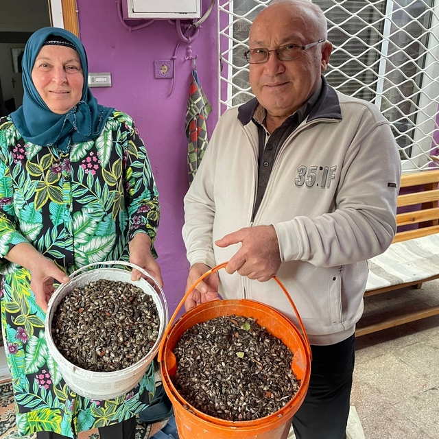 Fındık üreticisi, evini saran kahverengi kokarca böceğinden ilaçlı mücadele...