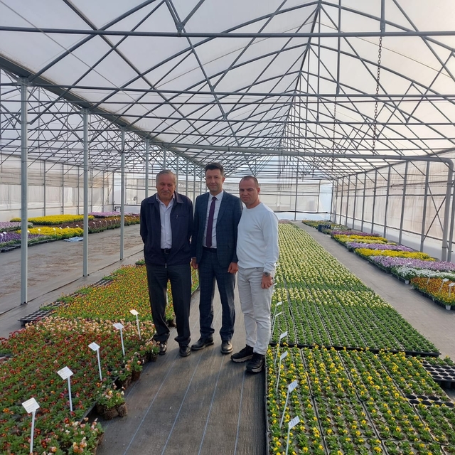 Keles'te kadınların çalışacağı seralarda süs bitkisi tohumu yetiştirilecek