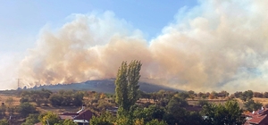 Eskişehir'de çıkan orman yangınına müdahale ediliyor