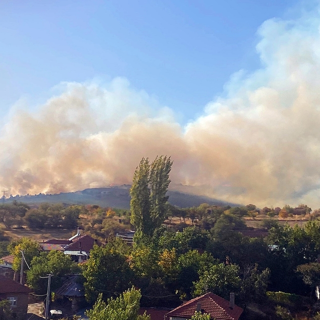 Eskişehir'de çıkan orman yangınına müdahale ediliyor