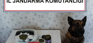 Bolu'da uyuşturucuyla yakalanan yolcu gözaltına alındı