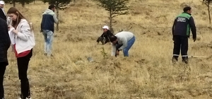 Bünyan'da lise öğrencileri 1000 fidan dikti