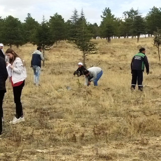 Bünyan'da lise öğrencileri 1000 fidan dikti