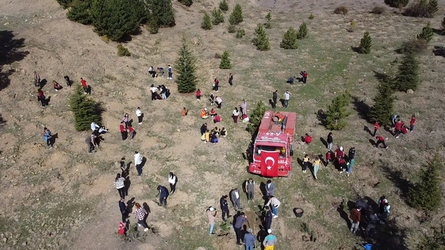 Aksu'da 100 fidan toprakla buluştu