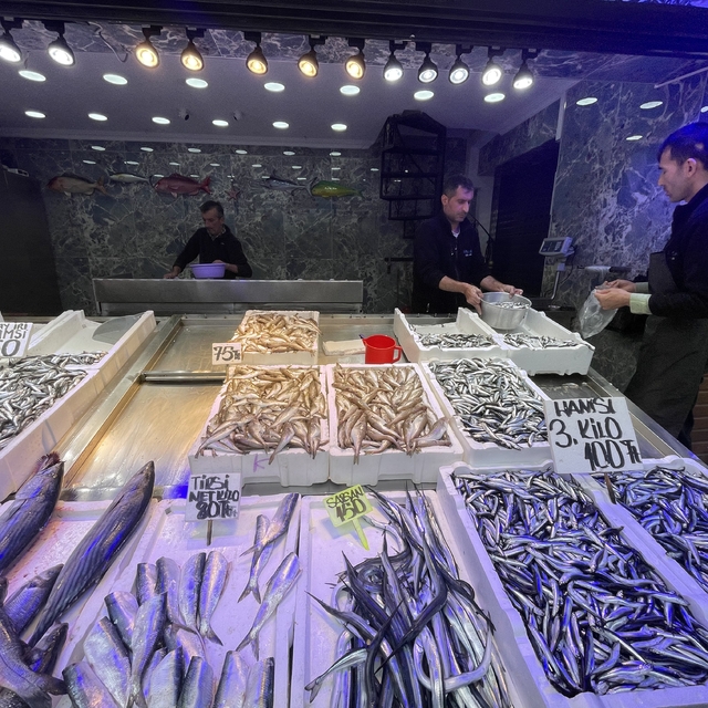 Trabzon'da hamsinin 3 kilogramı 100 liradan satılıyor