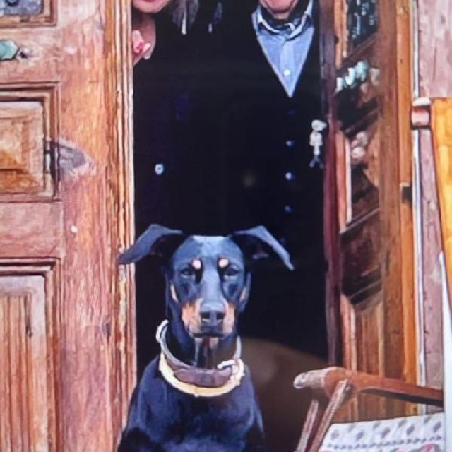 Korhan Berzeg'i arama çalışmaları 130´uncu günde sonlandırıldı